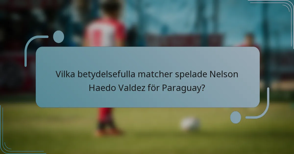 Vilka betydelsefulla matcher spelade Nelson Haedo Valdez för Paraguay?