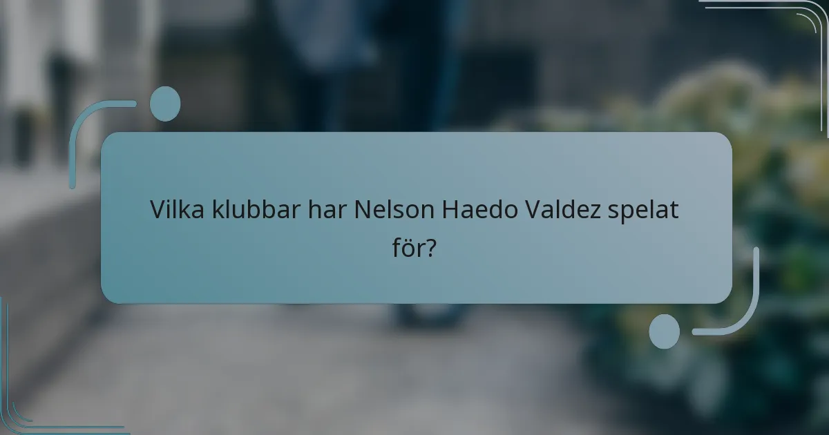 Vilka klubbar har Nelson Haedo Valdez spelat för?