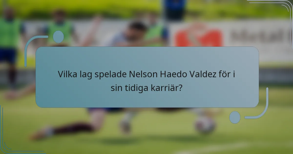 Vilka lag spelade Nelson Haedo Valdez för i sin tidiga karriär?