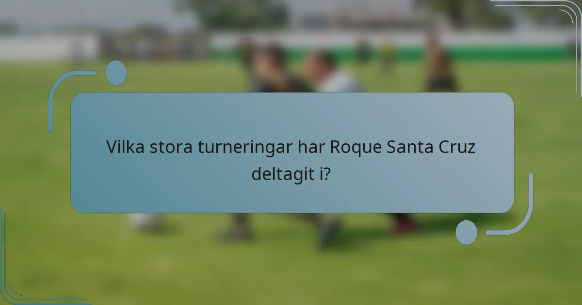 Vilka stora turneringar har Roque Santa Cruz deltagit i?