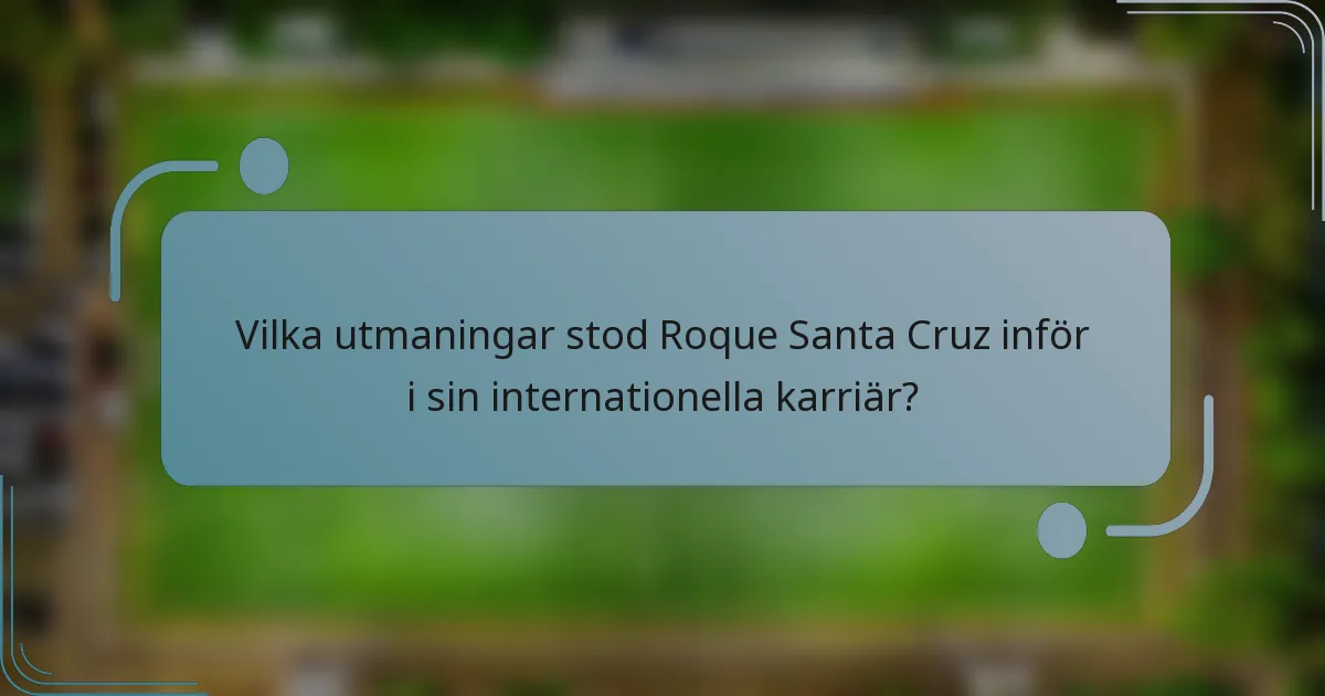 Vilka utmaningar stod Roque Santa Cruz inför i sin internationella karriär?